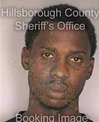 Snowden Michael - Hillsborough County, FL 