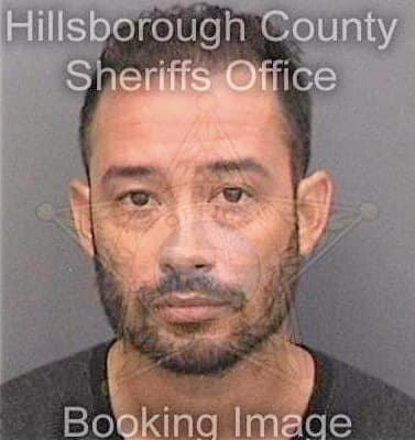 Lugofelix Rafy - Hillsborough County, FL 