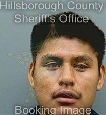Rios Zenon - Hillsborough County, FL 