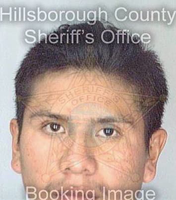 Sotelo Cosme - Hillsborough County, FL 
