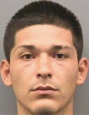 Gonzalez Estevan - Hillsborough County, FL 
