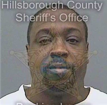 Simmons Michael - Hillsborough County, FL 