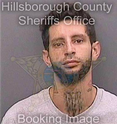 Boffil Nicolas - Hillsborough County, FL 