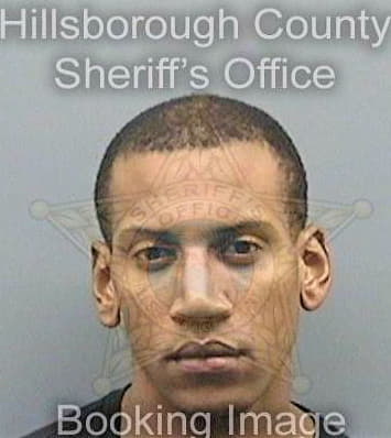 Anderson Brandon - Hillsborough County, FL 