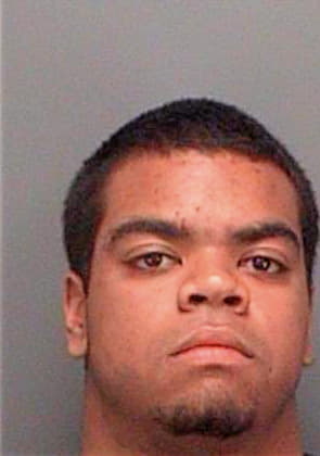 Hamilton Christopher - Pinellas County, FL 