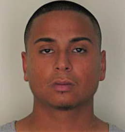 Sanchez Daniel - Hillsborough County, FL 