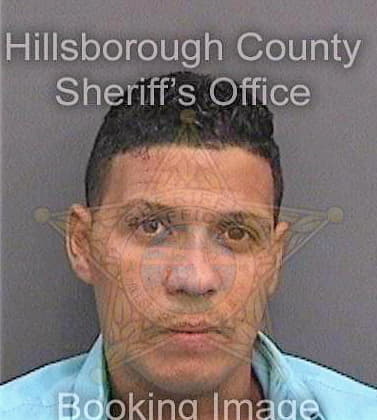 Jeanjaque Geovany - Hillsborough County, FL 