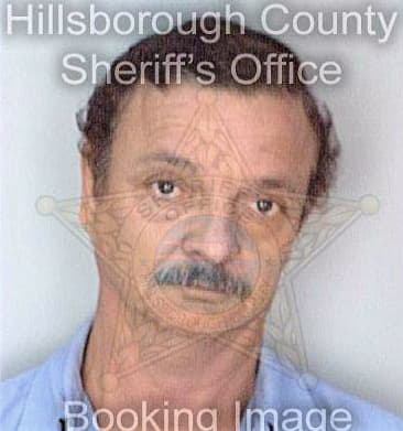 Diazmendez Juan - Hillsborough County, FL 