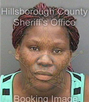Baldwin Kimberly - Hillsborough County, FL 