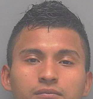 Lopez Ervin - Lee County, FL 