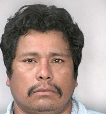 Silvanfocil Jose - Hillsborough County, FL 