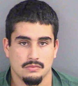 Gutierrez Damian - Collier County, FL 