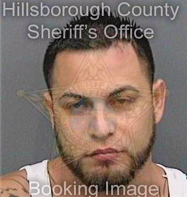 Childers Joel - Hillsborough County, FL 