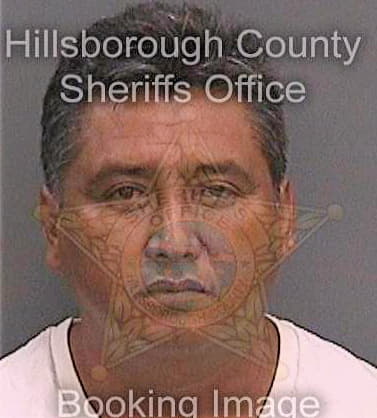 Reyesmartinez Jorge - Hillsborough County, FL 