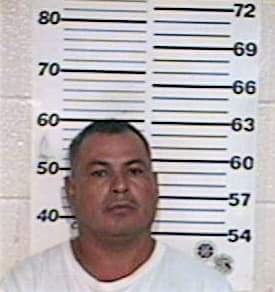 Alfaro Arcangel - Hidalgo County, TX 