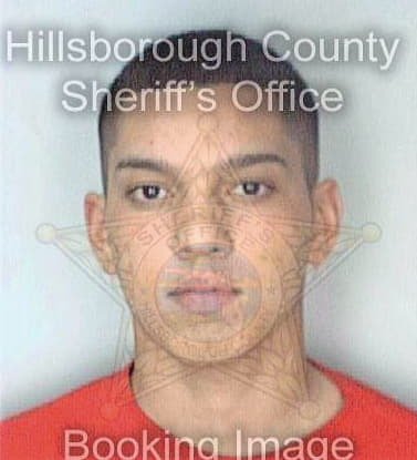 Marquez David - Hillsborough County, FL 