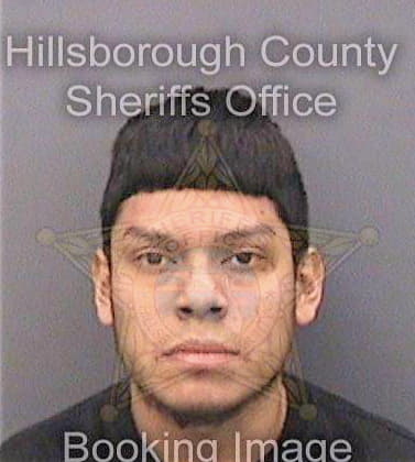 Duque Israel - Hillsborough County, FL 