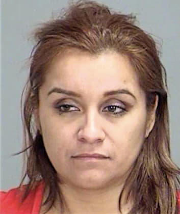 Garcia Monica - Brazos County, TX 