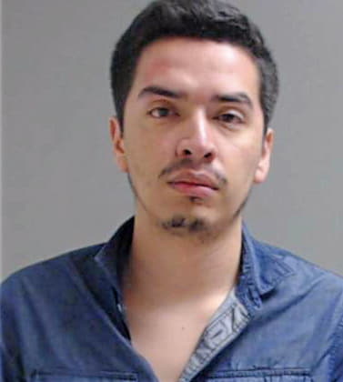 Flores Raul - Hidalgo County, TX 