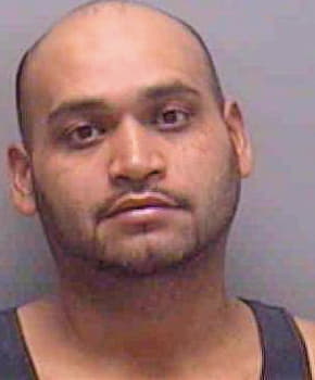 Torres Carlos - Lee County, FL 