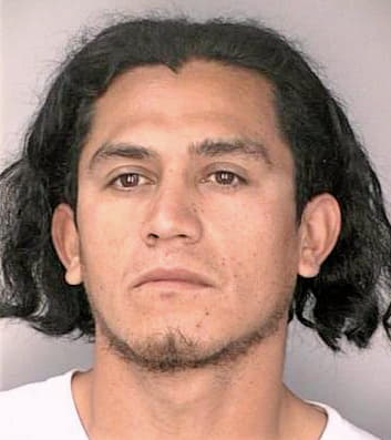 Giron Erick - Hillsborough County, FL 