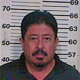 Hernandez Angel - Hidalgo County, TX 