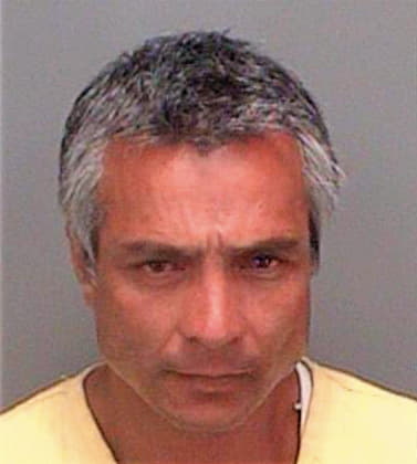 Johnnyboy Gene - Pinellas County, FL 