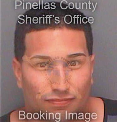Alvarez Joshua - Pinellas County, FL 