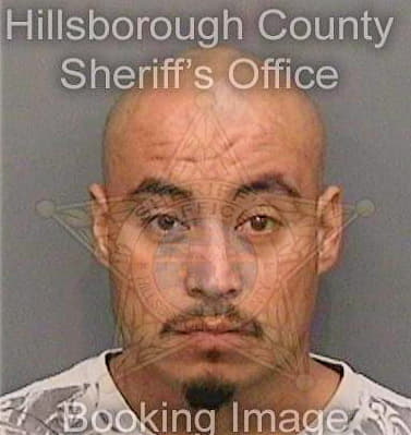 Hernandez Juan - Hillsborough County, FL 