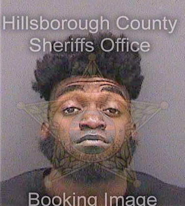 Stimphil King - Hillsborough County, FL 