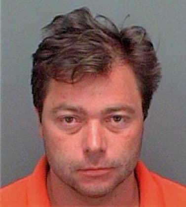 Robinson Michael - Pinellas County, FL 