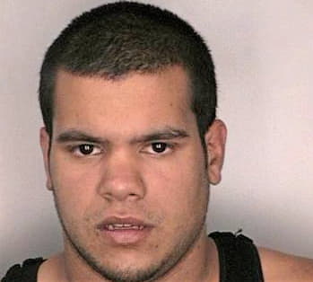 Garcia Daniel - Hillsborough County, FL 