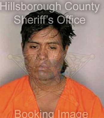 Diaz Diego - Hillsborough County, FL 