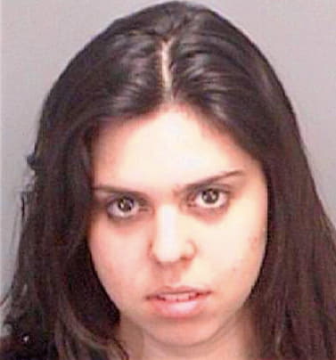 Alves Estela - Pinellas County, FL 