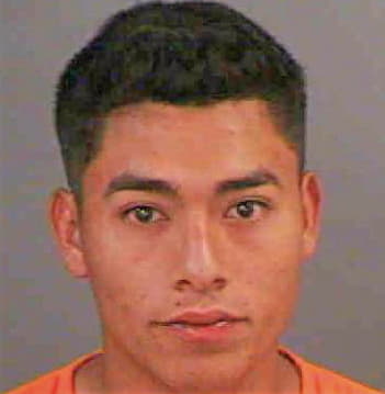 Alvarado-Martinez Jose - Collier County, FL 