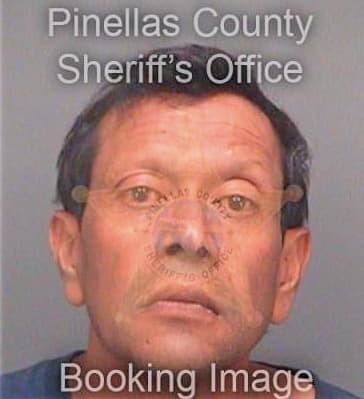 Narine Shivdhari - Pinellas County, FL 