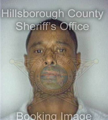 Boccio David - Hillsborough County, FL 