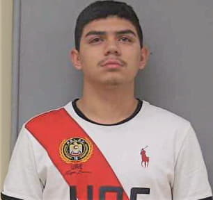 Silva Hector - Madera County, CA 