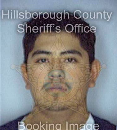 Mendozatorres Olegario - Hillsborough County, FL 