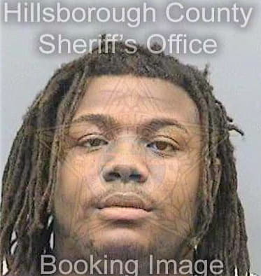 Anderson Ricky - Hillsborough County, FL 