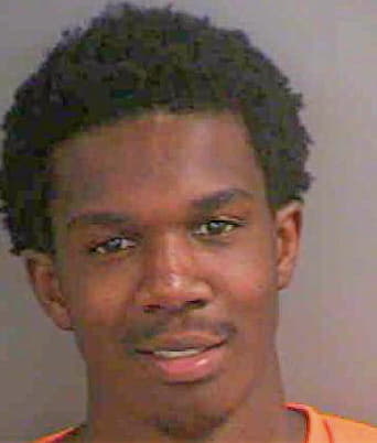 Guerrier Willens - Collier County, FL 