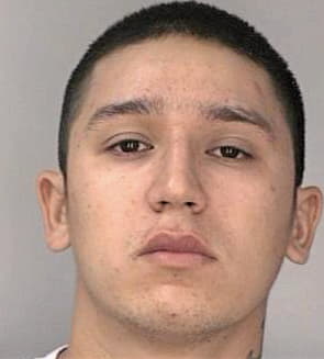Avalos Andres - Hillsborough County, FL 