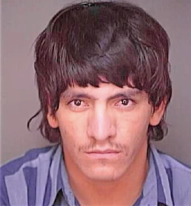 Gonzalez Mario - Polk County, FL 