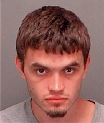 Perusse Ryan - Pinellas County, FL 