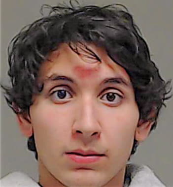 Pelic William - Collin County, TX 