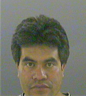 Delgado-Gutierrez Luis - Gwinnett County, GA 