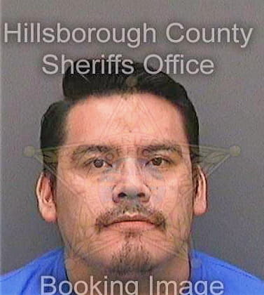 Ovandorobles Luis - Hillsborough County, FL 