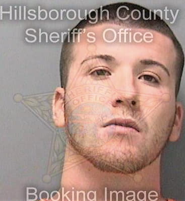 Silvafibble Ryan - Hillsborough County, FL 