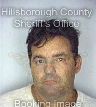 Perez Vladimir - Hillsborough County, FL 