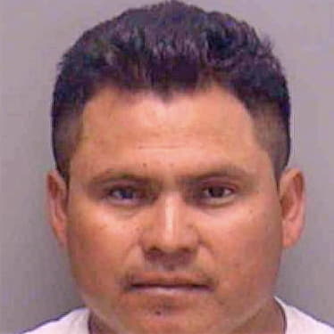 Lopez Gustavo - Lee County, FL 